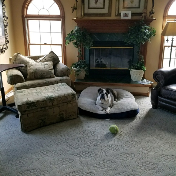 Meet your Posher, Andy - Picture 1 of 1